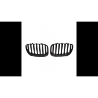 [Sport Grille Single Line Matt Black suitable for BMW X5 (E53) Pre-Facelift 1999-2003]