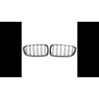 [Sport Grille Dual Line Chrome & Black suitable for BMW 5 (F10) Sedan (F11) Touring 2010-2018]