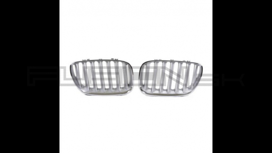 [Obr.: 10/97/02/9-sport-grille-single-line-chrome-matt-silver-suitable-for-bmw-x5-e53-facelift-2003-2007-1721730134.jpg]