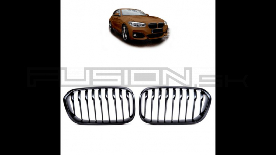 [Obr.: 10/97/46/1-sport-grille-single-line-matt-black-suitable-for-bmw-1-f20-f21-hatchback-facelift-2015-2019-1721731292.jpg]