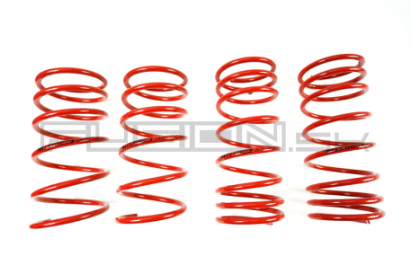 [Obr.: 95/65/17-znizene-pruziny-performance-springs-mtsxpe004-1686848173.jpg]